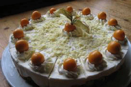Physalistorte - Tortenrezept(e) mit der Physalis, exotische und besondere Torte